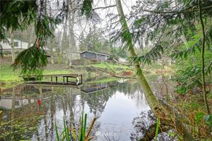 Silver Fir Drive