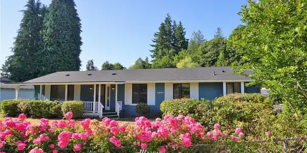 6204 Maple View