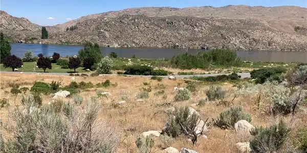 0 Lot 4 Lone Coyote