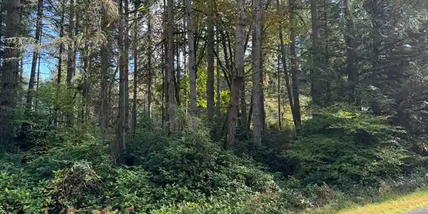 11503 Lake Josephine