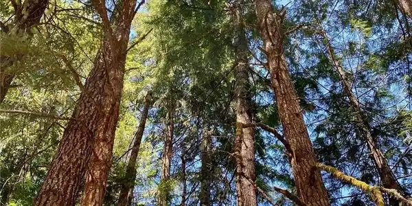 Image 3 Image 3