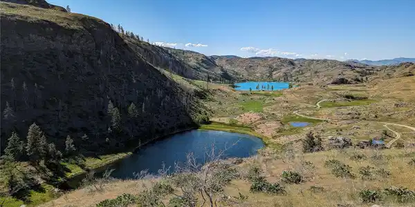 86 Rotts A Rocs ( Rock Canyon)