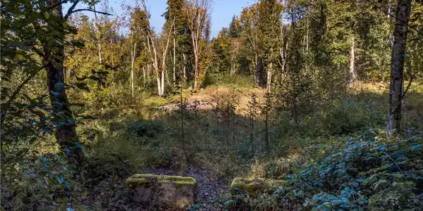 0 Squalicum Mountain Road