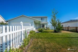 1013 Windrose