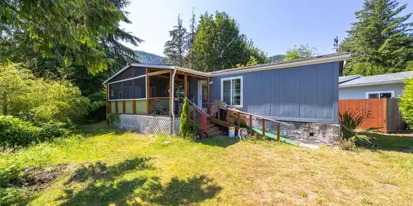 463 Vine Maple