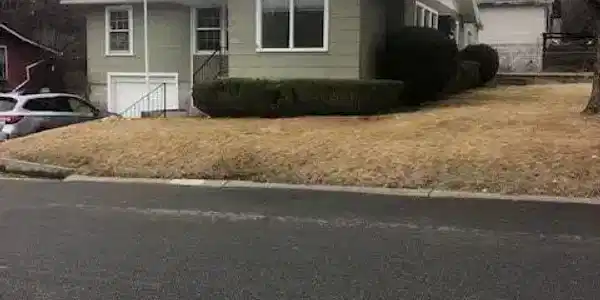 801 Cedar