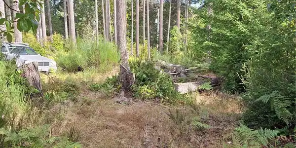 1850 Timberlake West