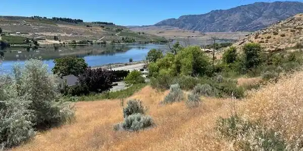 31 Osprey Nest