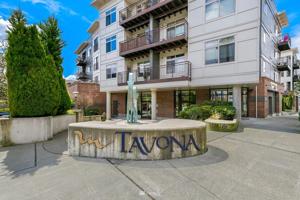 3333 Wallingford N
