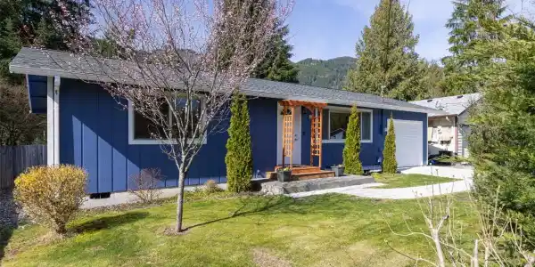 439 Vine Maple