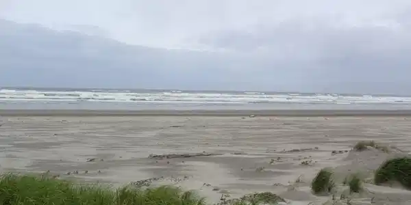 11119 Pacific