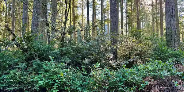 11002 Lake Josephine