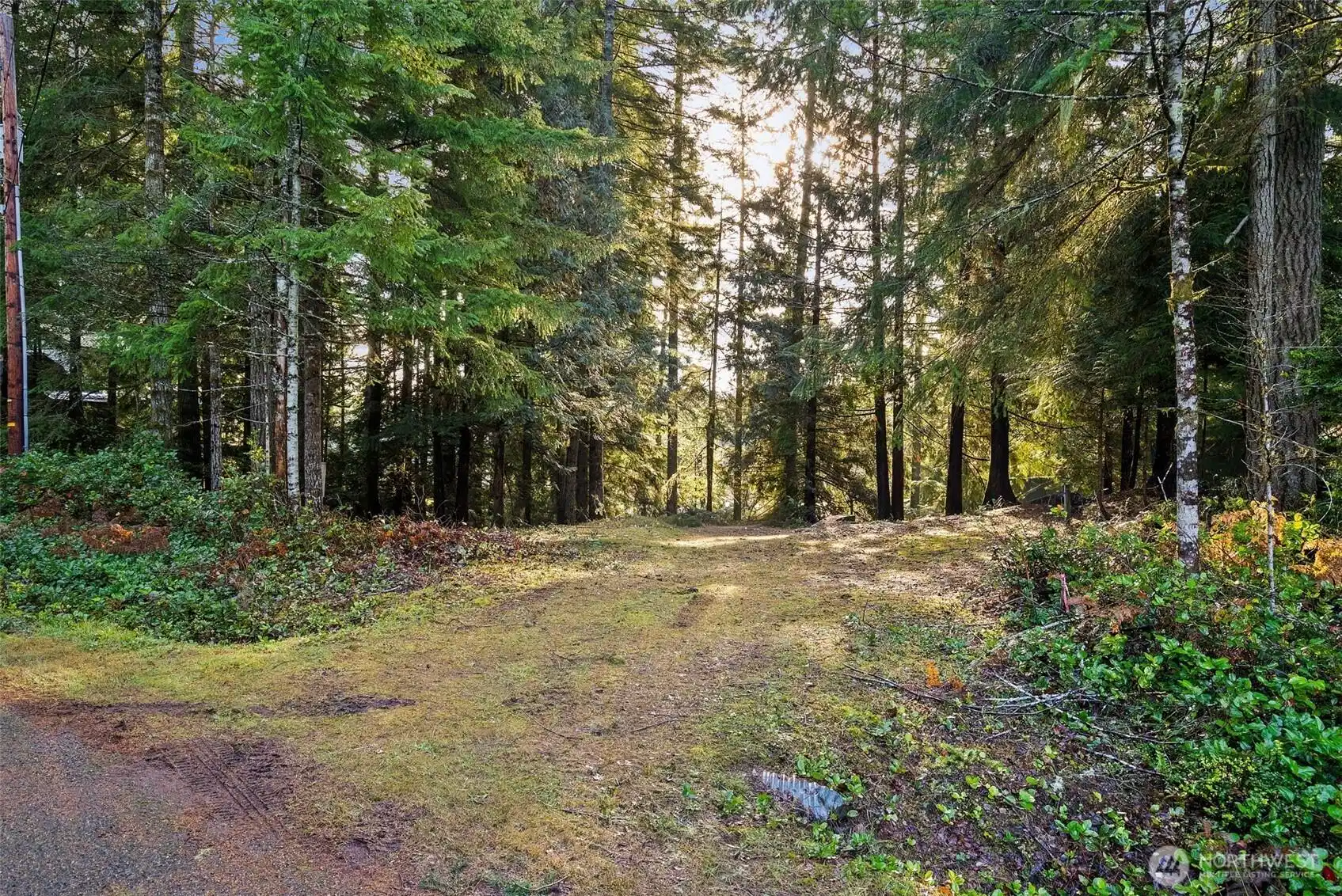 Image 1 Image 1