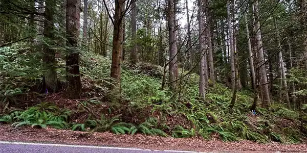 22 Hillside