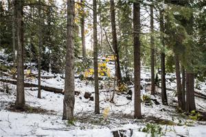 0 Cedar Brae Road