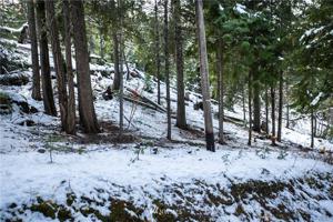 0 Cedar Brae Road