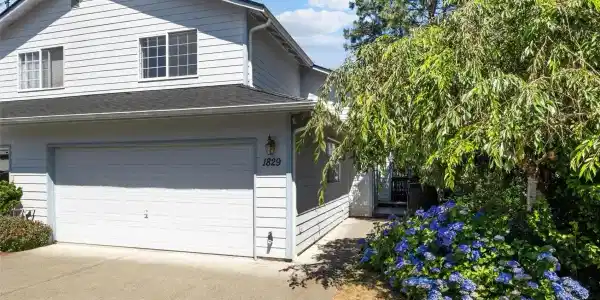 1829 Pine