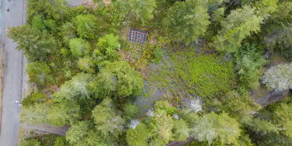41 Creek View