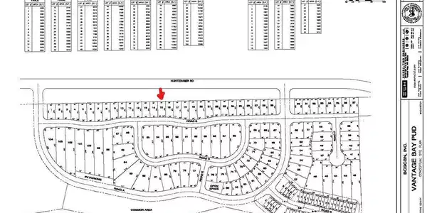 15 XXX BridgeView