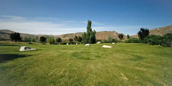 0 Lot 2 Lone Coyote