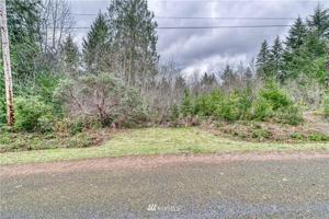 53 E Budd Drive