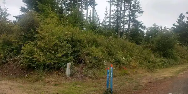 210 Birch
