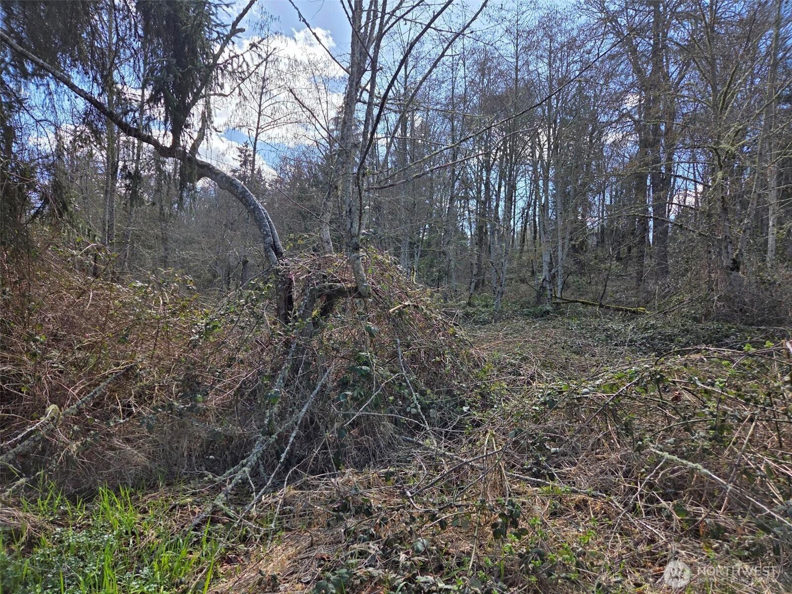 Image 3 Image 3