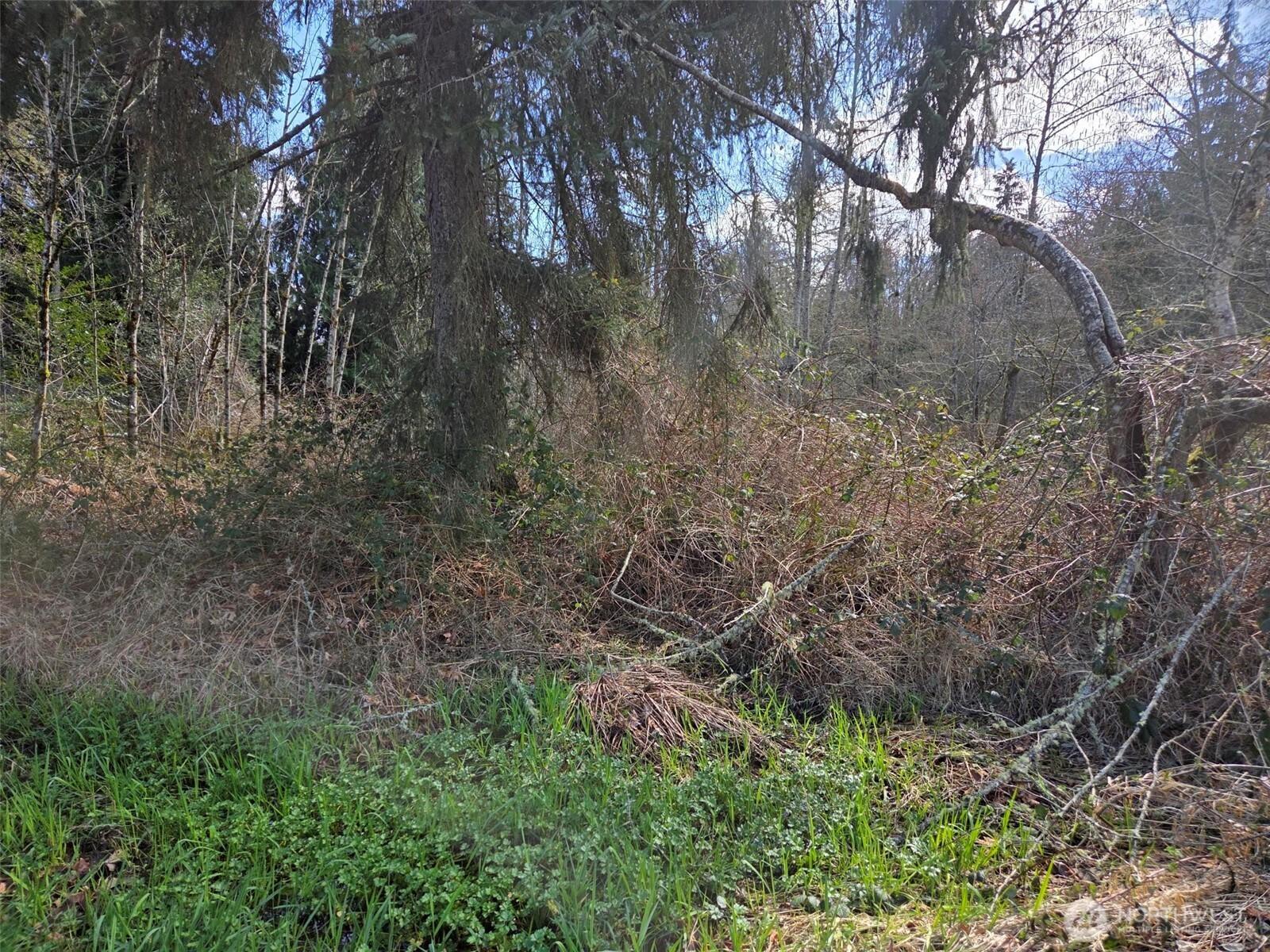 Image 4 Image 4