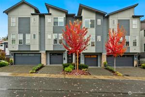 15720 Meadow