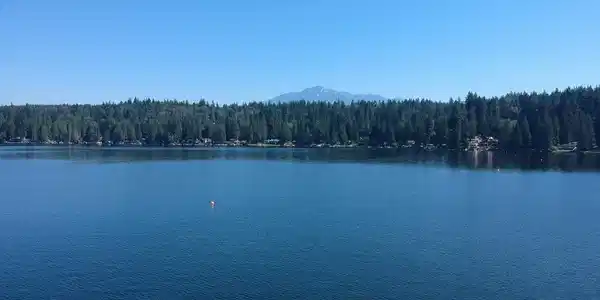 23731 Lake Roesiger