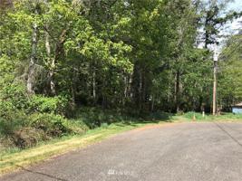 51 E Raccoon Court