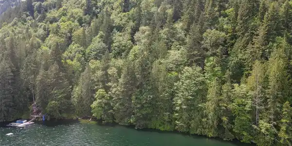 0 Lot 19 Lake Whatcom