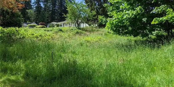 Fir Tree Way