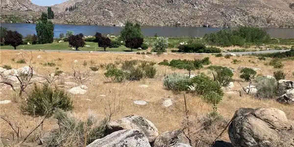 0 Lot 3 Lone Coyote