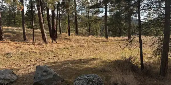 2 Mist Lake
