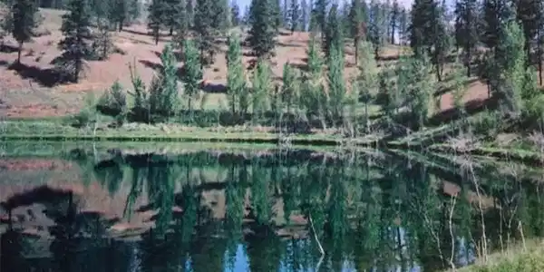 9 Crumbacher Lake