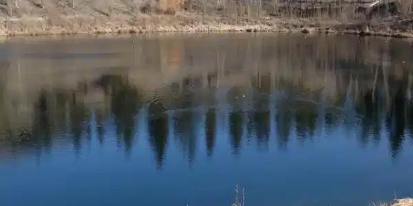 1 Mist Lake