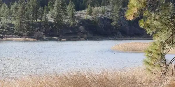 111 TBD Rainbow Lake Rd