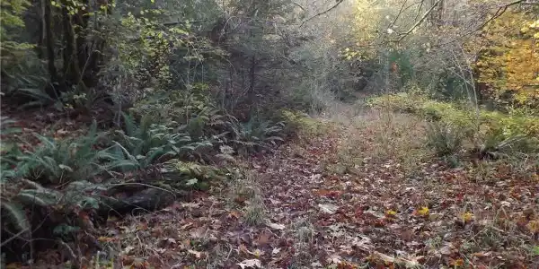 0 Summit Lake Shore Road NW