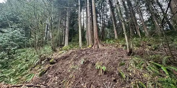 12 Hillside