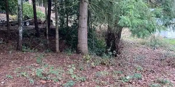 19013 63rd Street E
