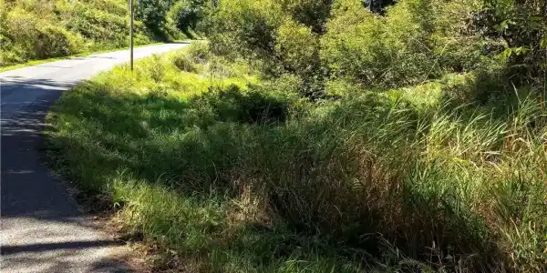 Cemetery Road E