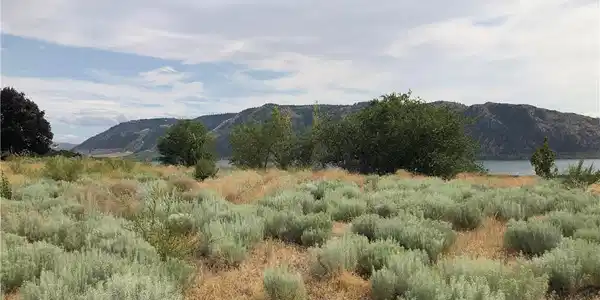 0 Columbia View Drive