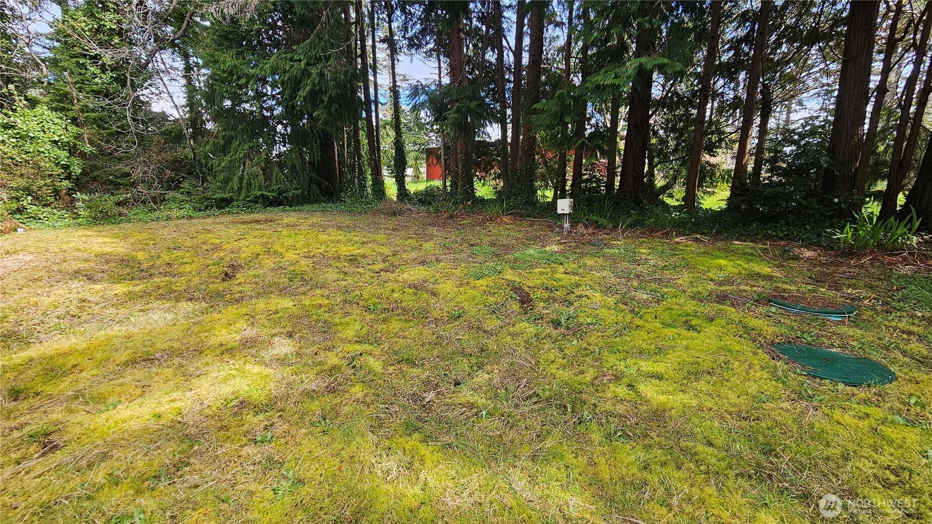 Image 3 Image 3