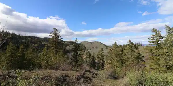 222 TBD Rainbow Lake Rd