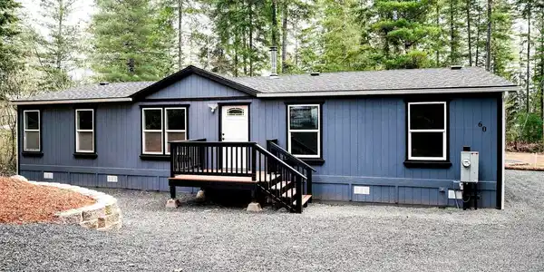 60 Pine Tree