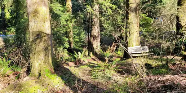 0 Cain Lake Road