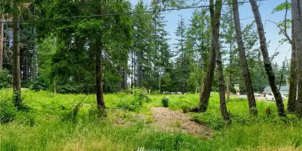 37000 Military Road S