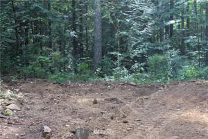 6138 N Lake Cushman Road
