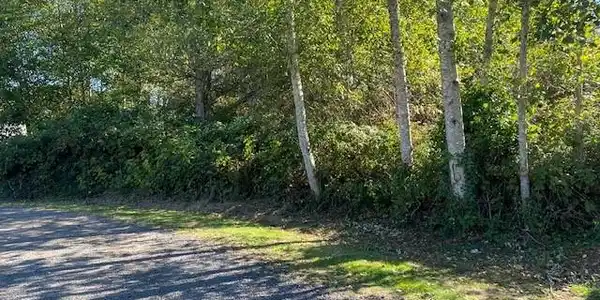 0 Bay City Lots 13-16